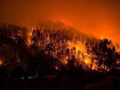 El Obispo y toda la Diócesis de Ourense se solidarizan con los damnificados por los incendios